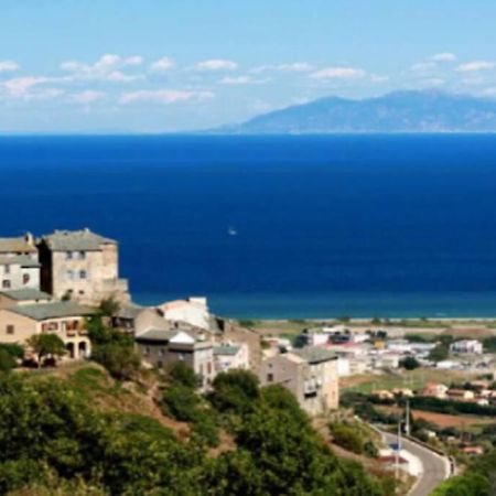 Appartement Neuf Entre Mer Et Montagne. Furiani Buitenkant foto
